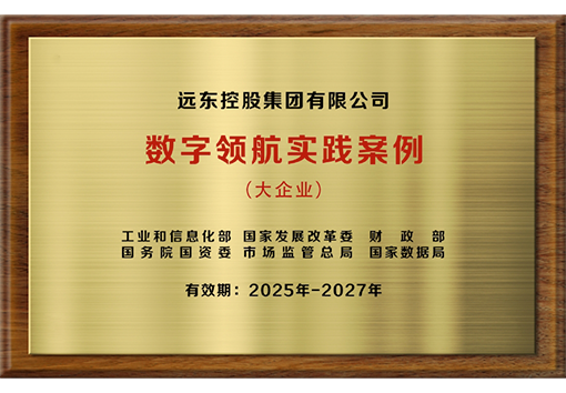 大企業(yè)數(shù)字領(lǐng)航實(shí)踐案例